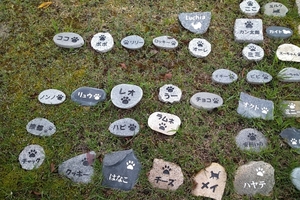 135c.jpg