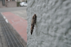 DSCN1102c.jpg