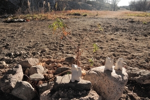 DSCN1592c.jpg