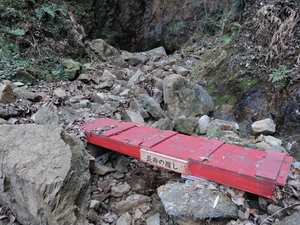 DSCN1655c.jpg