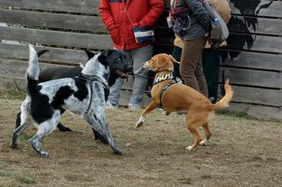 DSC_0099c.jpg