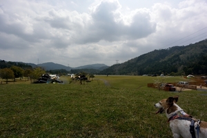 DSC_0135c.jpg