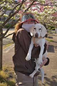 DSC_0144c.jpg