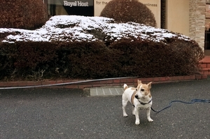 DSC_0181c.jpg