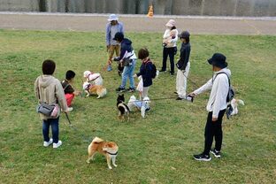 DSC_0185c.jpg