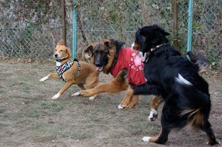 DSC_0189c.jpg