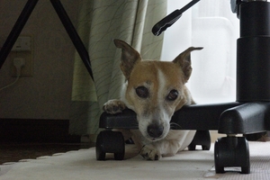 DSC_0189c.jpg