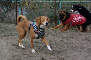 DSC_0197c.jpg
