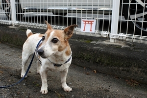 DSC_0212c.jpg