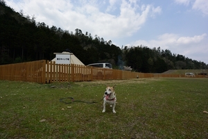 DSC_0265c.jpg