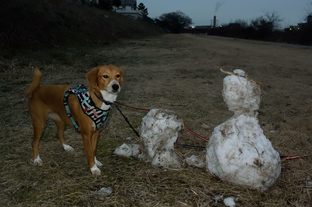 DSC_0333c.jpg