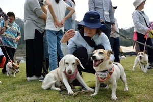 DSC_0337c.jpg
