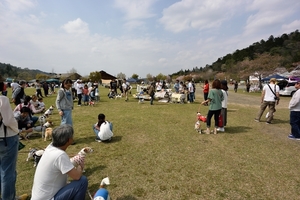 DSC_0351c.jpg