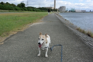 DSC_0357c.jpg