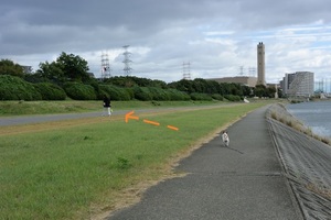 DSC_0359c.jpg