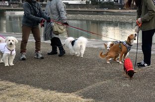 DSC_0368c.jpg