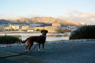 DSC_0375c.jpg