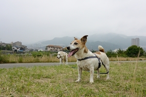 DSC_0398c.jpg