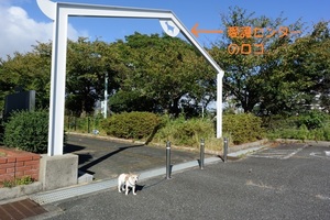 DSC_0424c.jpg
