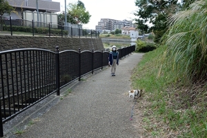 DSC_0528c.jpg
