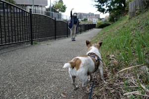 DSC_0536c.jpg