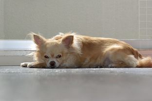DSC_0674c.jpg