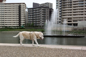 DSC_0679c.jpg
