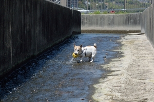 DSC_0747c.jpg