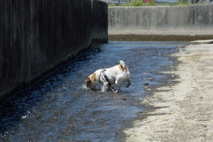DSC_0751c.jpg