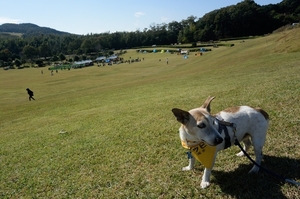 DSC_0756c.jpg