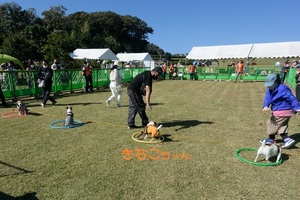 DSC_0837c.jpg