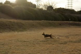 DSC_0859c.jpg