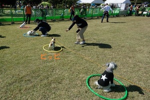 DSC_0860c.jpg