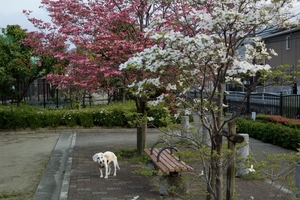 DSC_0892c.jpg