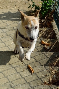 DSC_0926c.jpg