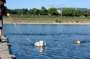 DSC_0967c.jpg