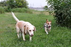 DSC_0999 (2)c.jpg