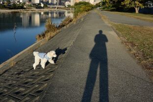 DSC_1021c.jpg