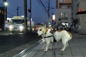 DSC_1023c.jpg