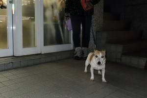 DSC_1033c.jpg