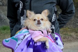 DSC_1048c.jpg