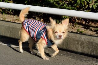 DSC_1056c.jpg