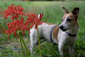 DSC_1059c.jpg