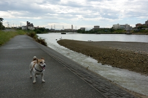 DSC_1097c.jpg