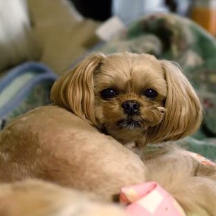 DSC_1099c.jpg