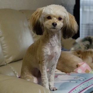 DSC_1106c.jpg