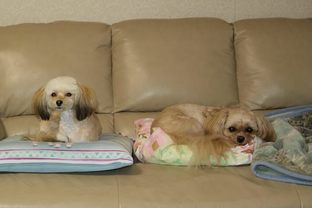 DSC_1112c.jpg