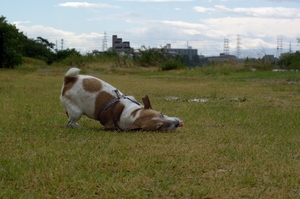 DSC_1114c.jpg