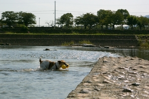 DSC_1132c.jpg