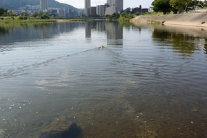 DSC_1168c.jpg